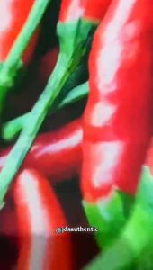 Kaos Sayur Cabe Merah & Jersey Kaos Unik Printing 3D