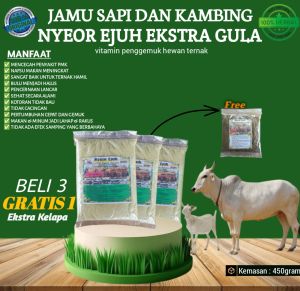 VITAMIN HERBAL NYEOR EJUH PENGGEMUK SAPI KUDA KERBAU KAMBING DAN DOMBA