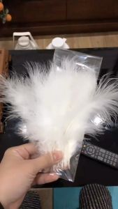 Gói 10 lông vũ gà tây màu trắng tự nhiên 10-15cm dùng để trang trí quần áo kẹp tóc handmade decor nhà cửa