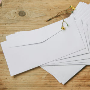 Bilingual Double Opening Customized Air Mail Envelope 4x9 Inches