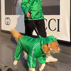 Áo mưa 2 lớp có mũ cho chó lớn và vừa - Đen Ta Pet shop