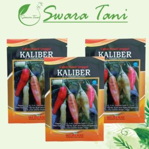 Benih Cabe KALIBER 10gram Benih Cabai Rawit Unggul Wijitani