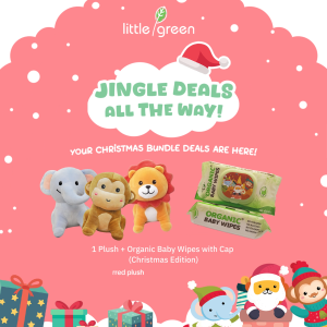 Organic Baby Wipes with Cap & Mushroom Teether - Red (Christmas Bundle)