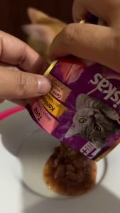 70g Whiskas Tasty Mix Cat Food Chicken with Tuna Salmon Seafood Cocktail Cat Wet Food Pouch Pet Pets Essentials