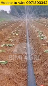 Ống mềm phun mưa phi 42mm - Thương Hiệu BIMI AGRI