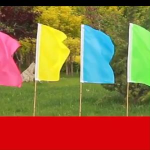 C0F0E. 50pcs 70*110cm Fiesta Flag Colorful/Solid Color Flags/Holiday Colored Flags/Decoration Party Partyneeds Supplies DIY Flags Banner Outdoor Lawn Flags Garden Playground Decoration.