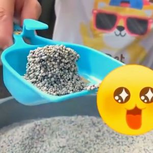 Pet Choice - Cát đất sét bentonite cho mèo 8L / 3.8kg