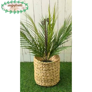 Pohon Hias Artificial Daun Palem X12 Latex Pot Dasar Hitam Cover Eceng Gondok Medium Dekorasi Rumah Pajangan Rumah Aesthetic