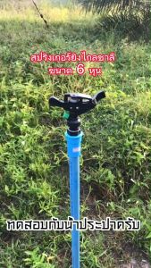 สปริงเกอร์ยิงไกล สปริงเกอร์ยิงไกลชาลี สปริงเกอร์ยิงไกลเกลียวนอก 3/4 นิ้ว หรือ 6 หุน หมุนรอบตัว ยิงได้ไกล 10-18 เมตร ยิงน้ำออก 2 ทาง สปริงเกอร์ ยิงน้ำ สปริงเกอร์ยิงน้ำ - Lazada