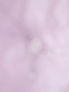 Kalung Wanita Korea Bunga Sakura Rantai Klavikula Kombinasi Fashion