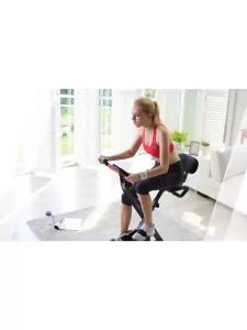 Gym Exercise Spin Bike Bicycle Indoor Spin Bike Bicycle Trainer Gym Exercise Bike Back Foldable Stable Load Bearing 动感单车