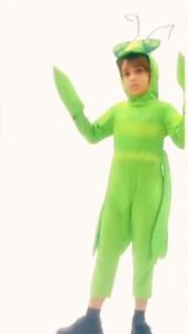 ชุดแฟนซีเด็ก ตั๊กแตนโย่งโย้ผูกโบว์ทัดดอกจำปา (FANCY395)