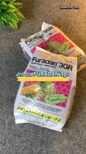 Furadan 3 GR Insektisida 2 kg