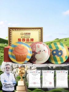 XUETIFANG | Mosquito Repellent Essential Oil Patch