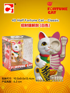 Trendy Collectible 4D Master Cat Models Dissected Wealth Attracting Cat Statistical Models Educational Toys for Children