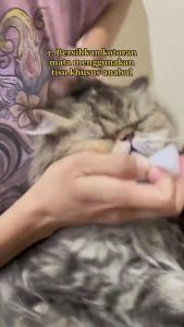 PET WIPES Tissue Basah Pembersih Noda Mata & Telinga Hewan Peliharaan