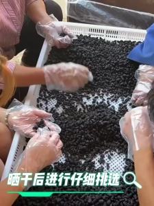 Premium Black Dried Fruits Instant Drinking No Wash No Sulfur Wild Non-Special Grade Xinjiang 500g Snacks