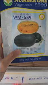 (Gói 20gr) Hạt Giống Dưa Hấu Lai F1 WM-689 NUMBER ONE - Date mới