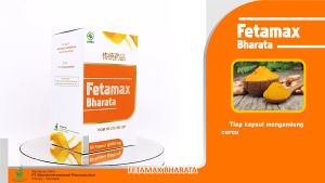 Obat Herbal Original Penambah Berat Badan Permanen BPOM Resmi FETAMAX BHARATA