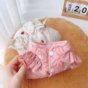 Autumn Winter Pet Clothes for Small Dogs And Cats Bichon Maltese Pomeranian Teddy New 2024 Style Cotton Casual Pet Wear