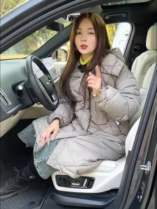 QUEES | Protective Car Pillow Neck and Lumbar Support