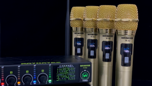 RAYHAYES UHF Wireless Microphone Professional 4 Channel Dynamic System Rechargeable for Karaoke Party
