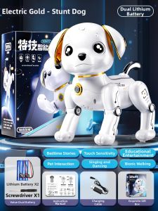 BEI JESS | Smart Remote Control Walking & Programmable Childrens Robot Dog Toy