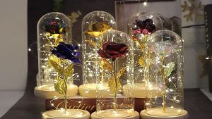 Rixme Eternal Flower Rose Dustproof Glass Cover Christmas Gift for Wife and Girlfriend Valentines Day Creative Decoration Nightlight
