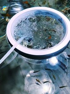 MOFISH Aqua Floating Isolation Box Transparency Acrylic Fish Shrimp Turtle Breeding Box 鱼缸隔离 ikan