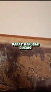 Pembasmi Rayap Kayu Tembok dan Tanah PALING AMPUH / OBAT RAYAP SEMPROT