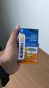 Kapsul Minyak Ikan Gabus Albinox Albumin Obat Luka Cepat Kering Penghilang Bekas Luka