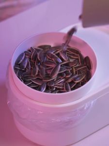 CNY Snacks Plate with Bin / Fruit Plate [Dear J]