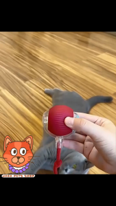 Cat Toy For Dog&Cat Interactive Cat Ball Toy  Automatic Moving Dog Ball Rechargeable Electric Smart
