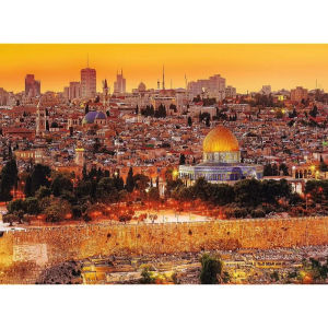 Adult 500/1000/1200/2000PCS paper Jigsaw Puzzle The Roofs of Jerusalem Stress Reducing Difficulty Educational Toy Christmas Gift