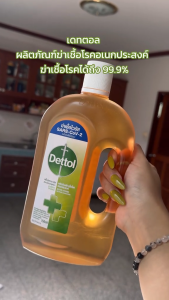 ซื้อ 1 แถม 1 DETTOL น้ำยาทำความสะอาด น้ำยาฆ่าเชื้อโรค HYGIENE MULTI-USE DISINFECTANT 750 ML