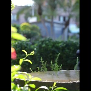 Pressure Sprayer Water Pump/Pump Action Pressure Sprayer With Pressure Release Valve/Penyembur Racun Herba/Sprayer Spray/Garden Pressure Sprayer Pump/Multi-Purpose Pressure Sprayer Cleaning Spray/Disinfectant Sprayer/Garden Tools Sprayer Water Bottle