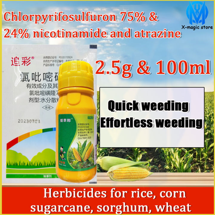 🌽Special herbicide for corn field🌿 weed and grass killer ...