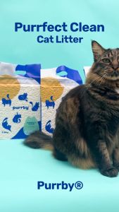 Purrby® Mixed & Tofu Cat Litter Bundle Pack [2 x 2.5kg]