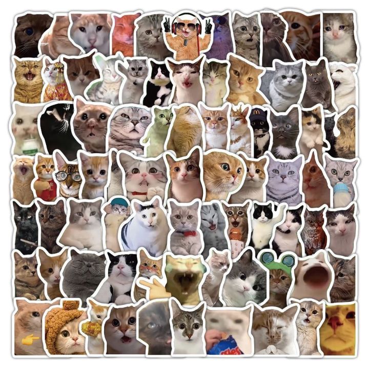 50/100/1000pcs Funny Cute Cat MEME Animals Stickers Kawaii Decals ...