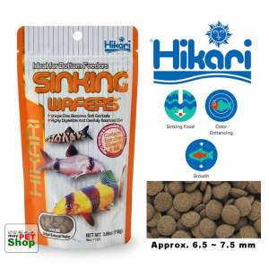 Hikari Sinking Wafers Bottom Feeder Fish Food - 3.88 oz (110g) | High Protein Diet with Spirulina Krill & Silkworm for Loaches Catfish & Plecos