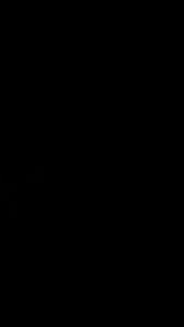 STRIPING VARIASI HONDA KARISMA 125D / STIKER LIST MOTOR HONDA KARISMA 125D