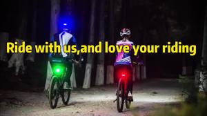 Bike Rear Tail Light USB Rechargeable LED Safety Light for Bicycle Ultra Bright Waterproof Cycling Taillight Fits on Any Road