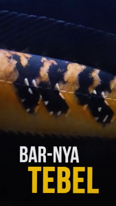 PAKET KING 1 Makanan Ikan Chana Yellow dan Red - Pelet King Booster Max Protein dan Color Max