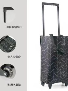 Collapsible Lightweight Shopping Cart with Handle Bag for Stairs Vegetable Buying Home Use Small Pulling Cart Easy to Carry