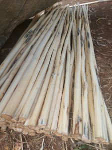 Dolken Dowel Kayu Manium Akasia Dekorasi Rumah Taman DM 2-5 P 3 Meter