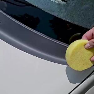 Trapo Plastiguard Car Coating (Car Interior Exterior Plastic Restorer Refurbishment Agent / Detailing Car Care Product)