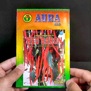 BENIH CABE KERITING HIBRIDA - RED BARON - 10 g - Aura Seed CMK red sabel or twist 42