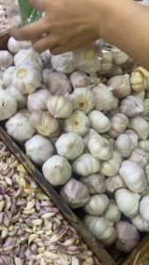 กระเทียม กระเทียมจีน คัดพิเศษ กระเทียมนำเข้า มีหลายขนาด กระเทียมราคาถูก