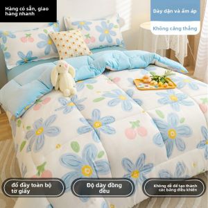 HAOMIAN | Chăn Bông Dày 10lb