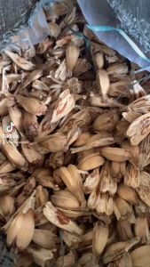 Quả dứa dại -dứa rừng khô